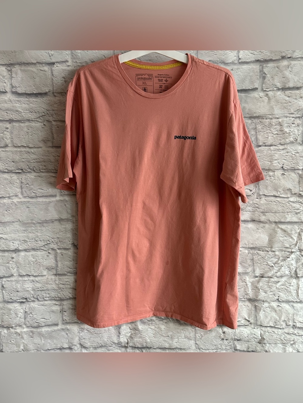 PREOWNED PATAGONIA SAVE OUR HOME PLANET SALMON MENS XL SHORT SLEEVE TSHIRT